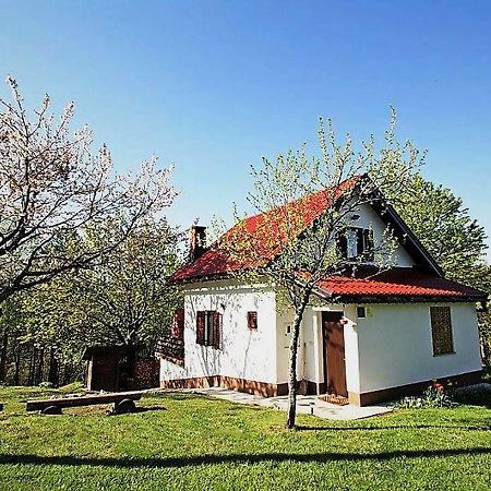 Holiday Home Coprnicka Hisa Skrad Exteriér fotografie